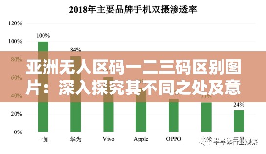 亚洲无人区码一二三码区别图片：深入探究其不同之处及意义