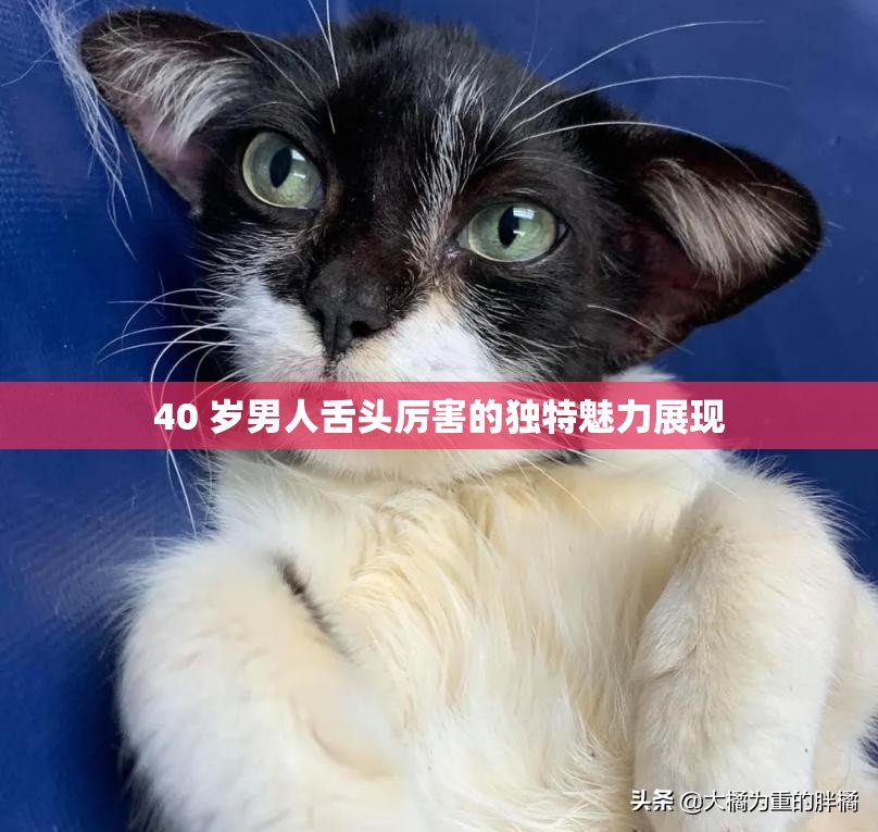 40 岁男人舌头厉害的独特魅力展现
