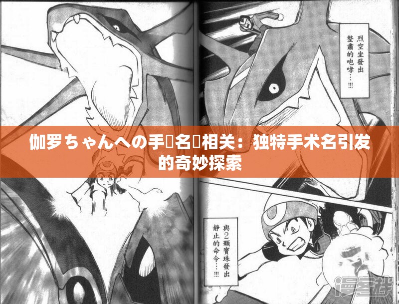 伽罗ちゃんへの手術名冪相关：独特手术名引发的奇妙探索
