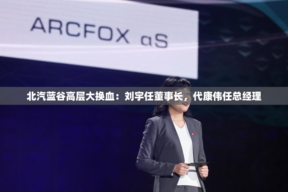 北汽蓝谷高层大换血：刘宇任董事长，代康伟任总经理