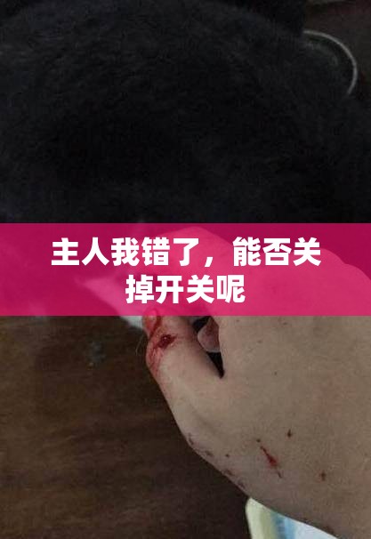 主人我错了，能否关掉开关呢