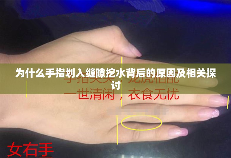 为什么手指划入缝隙挖水背后的原因及相关探讨