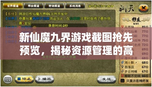 新仙魔九界游戏截图抢先预览，揭秘资源管理的高效艺术