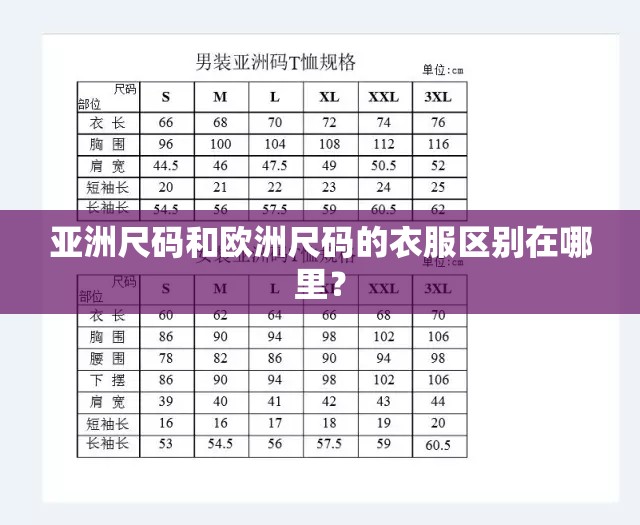 亚洲尺码和欧洲尺码的衣服区别在哪里？