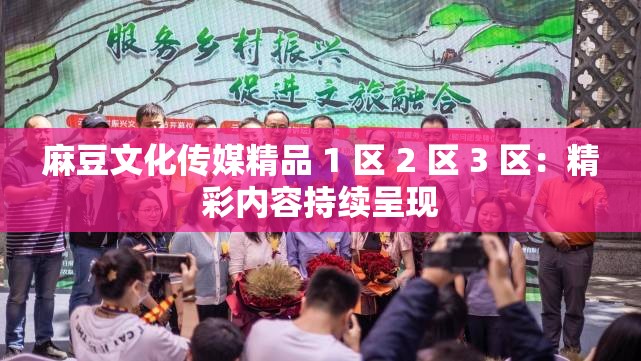 麻豆文化传媒精品 1 区 2 区 3 区：精彩内容持续呈现