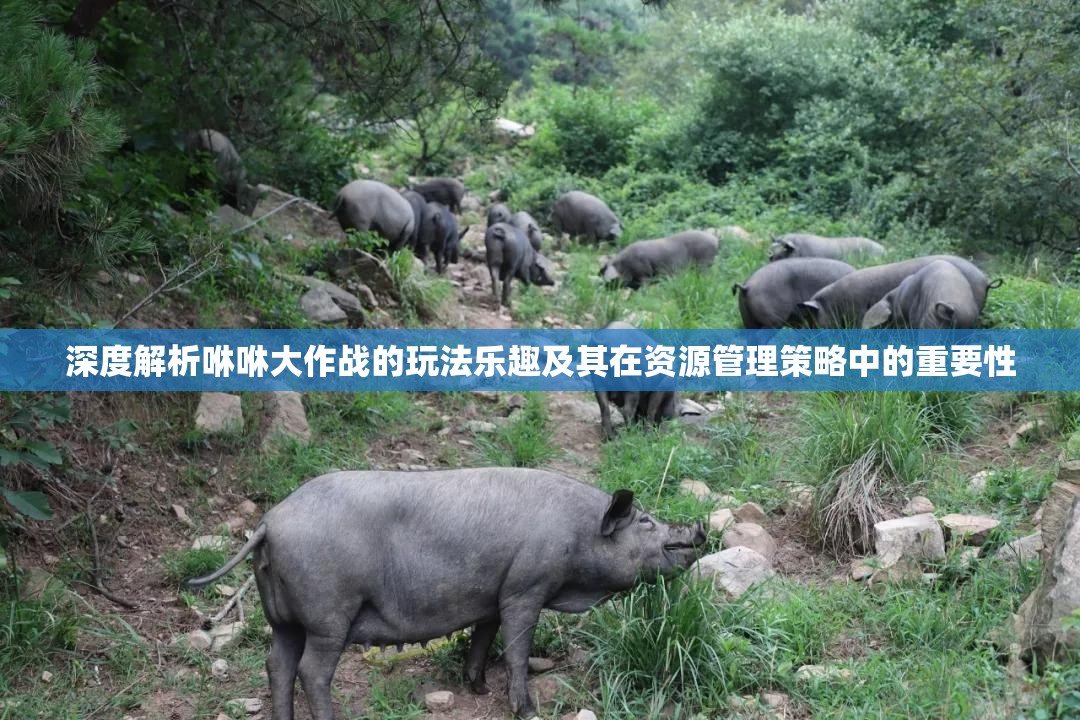 深度解析咻咻大作战的玩法乐趣及其在资源管理策略中的重要性