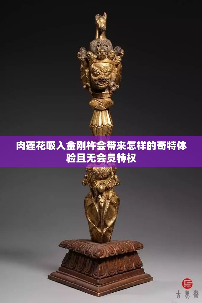 肉莲花吸入金刚杵会带来怎样的奇特体验且无会员特权