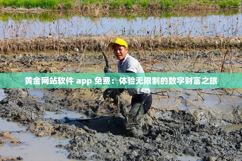 黄金网站软件 app 免费：体验无限制的数字财富之旅