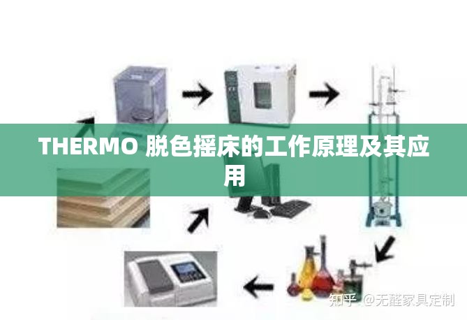 THERMO 脱色摇床的工作原理及其应用