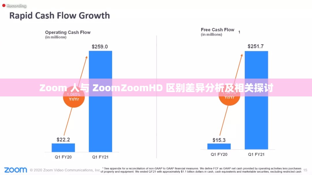 Zoom 人与 ZoomZoomHD 区别差异分析及相关探讨