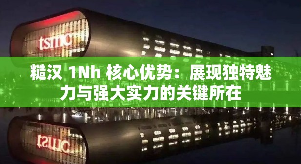 糙汉 1Nh 核心优势：展现独特魅力与强大实力的关键所在