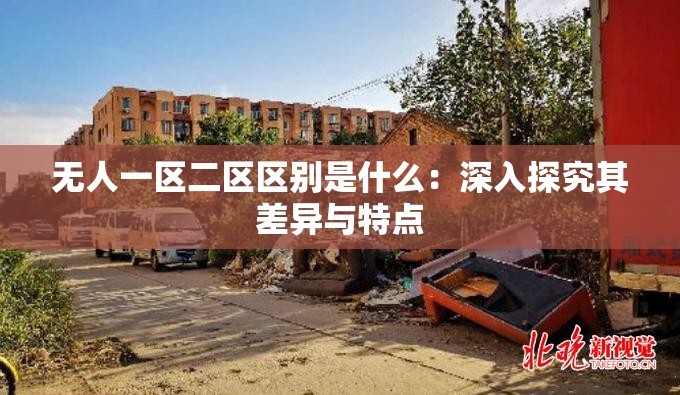 无人一区二区区别是什么：深入探究其差异与特点