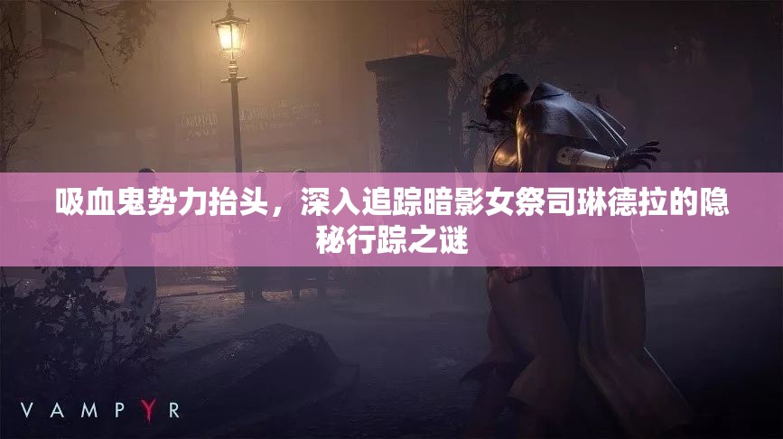 吸血鬼势力抬头，深入追踪暗影女祭司琳德拉的隐秘行踪之谜