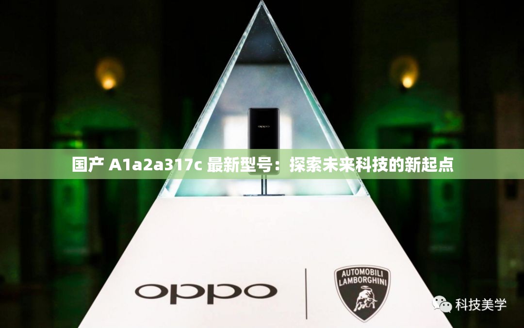 国产 A1a2a317c 最新型号：探索未来科技的新起点