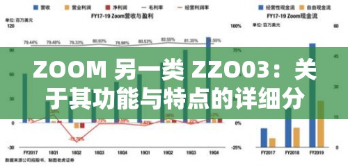 ZOOM 另一类 ZZO03：关于其功能与特点的详细分析