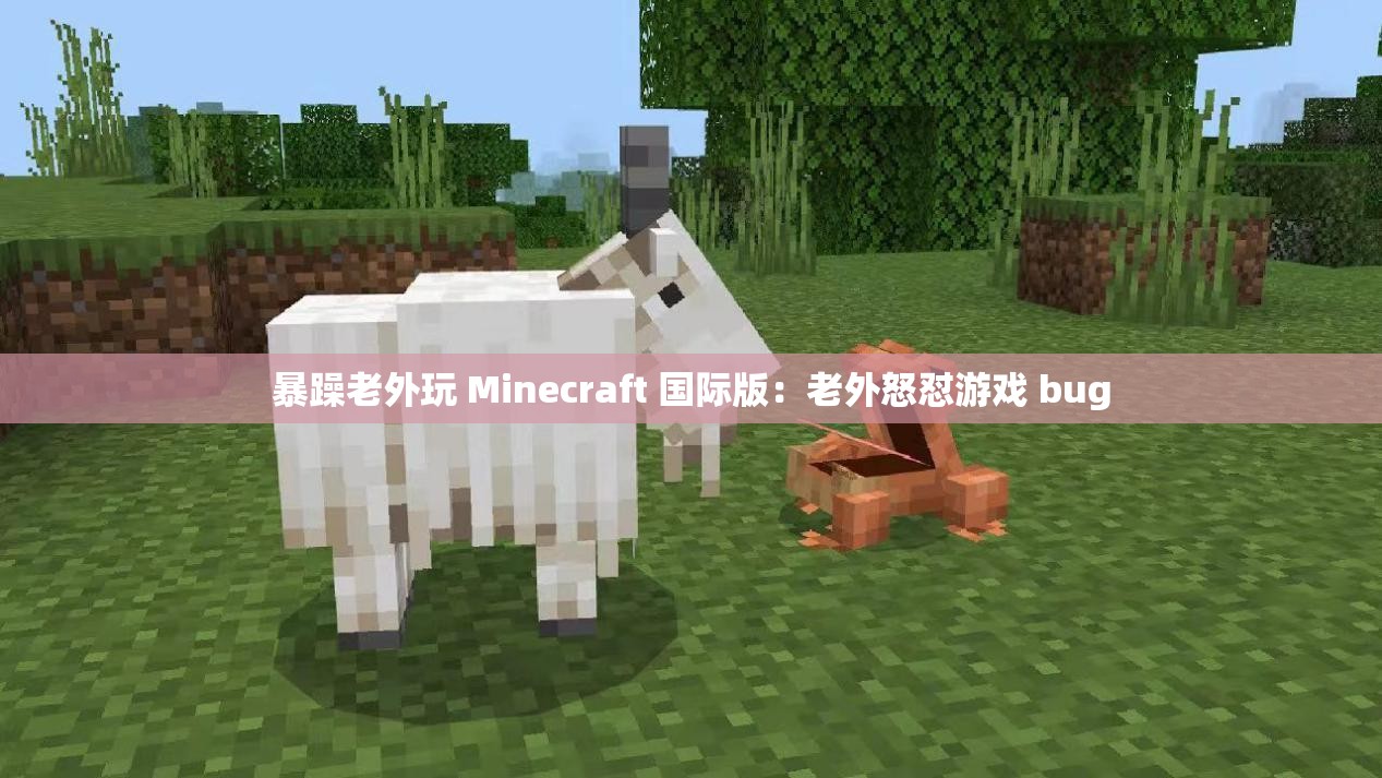 暴躁老外玩 Minecraft 国际版：老外怒怼游戏 bug