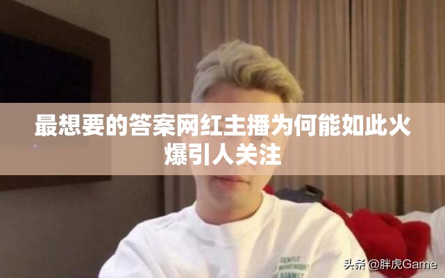 最想要的答案网红主播为何能如此火爆引人关注