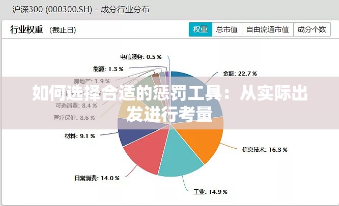 如何选择合适的惩罚工具：从实际出发进行考量