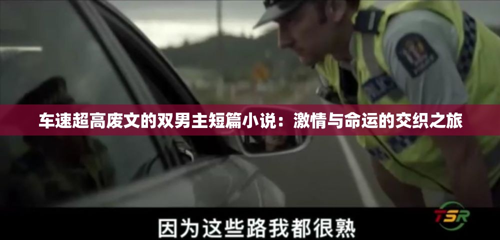 车速超高废文的双男主短篇小说：激情与命运的交织之旅