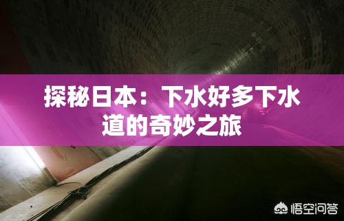 探秘日本：下水好多下水道的奇妙之旅
