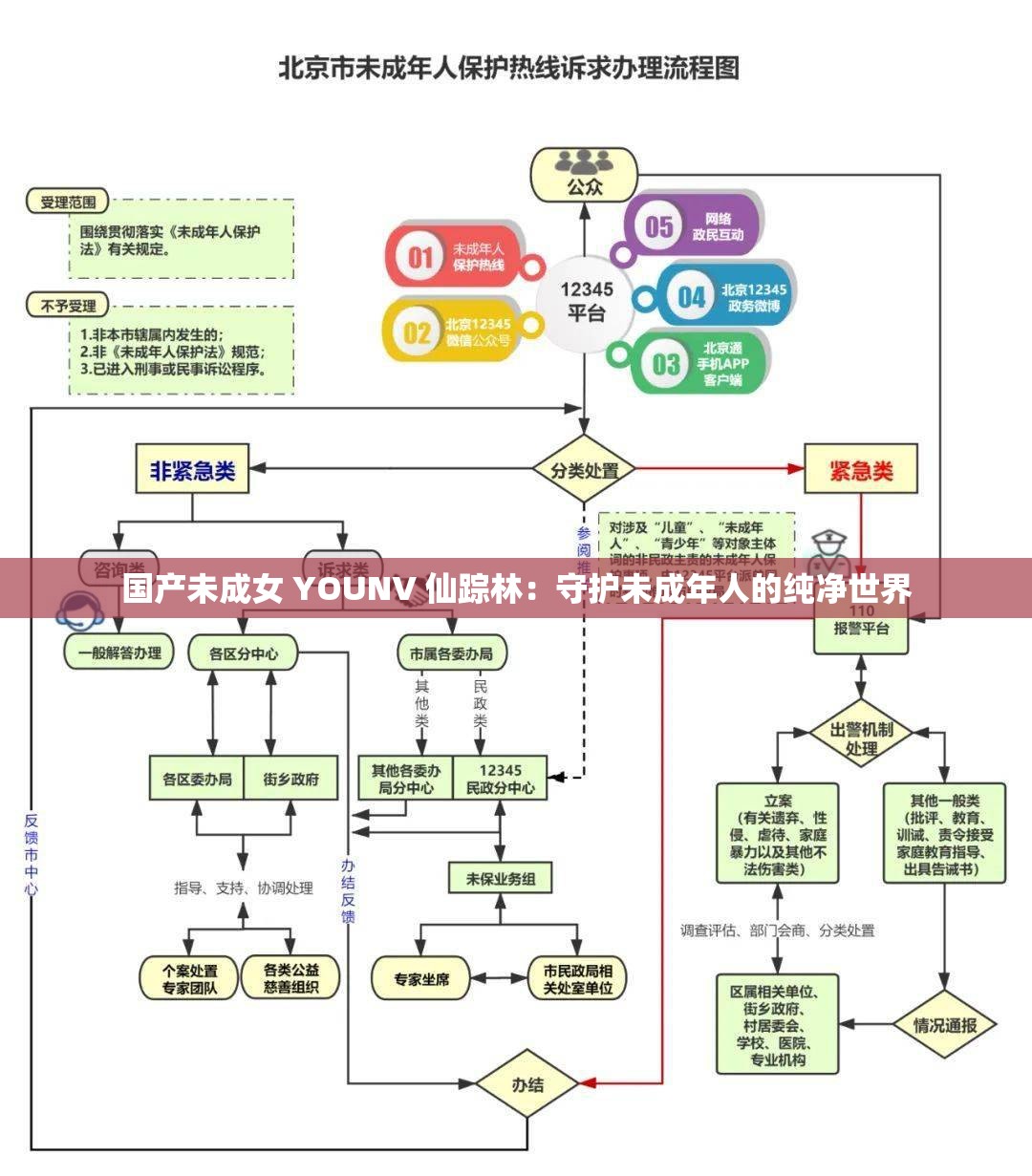 国产未成女 YOUNV 仙踪林：守护未成年人的纯净世界