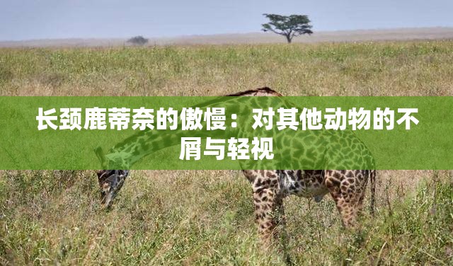长颈鹿蒂奈的傲慢：对其他动物的不屑与轻视