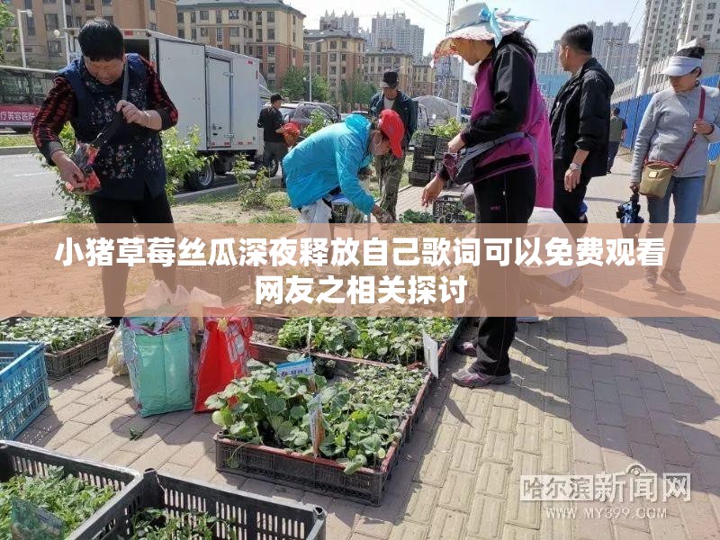小猪草莓丝瓜深夜释放自己歌词可以免费观看网友之相关探讨