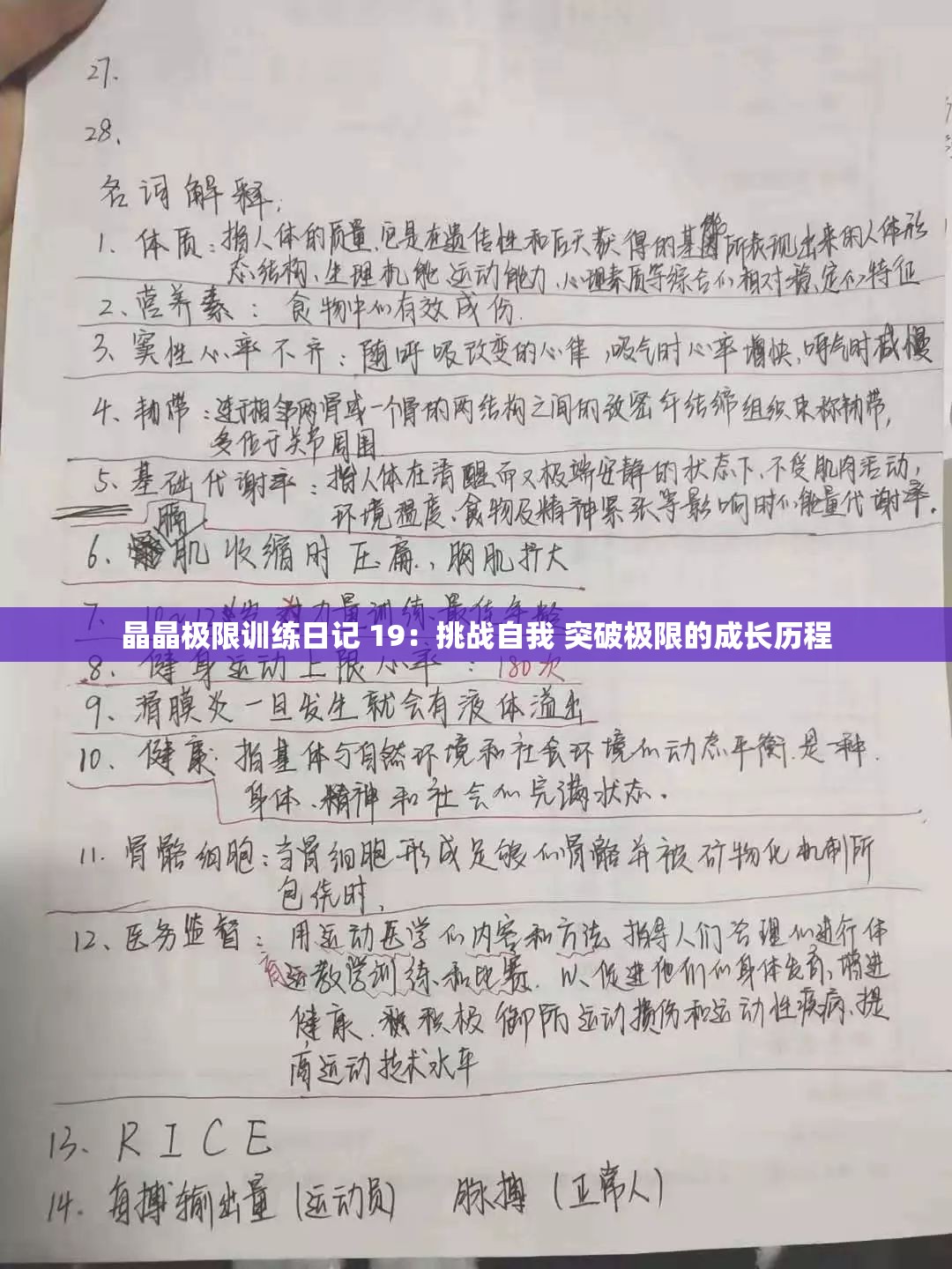 晶晶极限训练日记 19：挑战自我 突破极限的成长历程