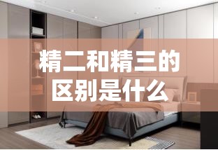 精二和精三的区别是什么