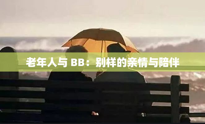 老年人与 BB：别样的亲情与陪伴