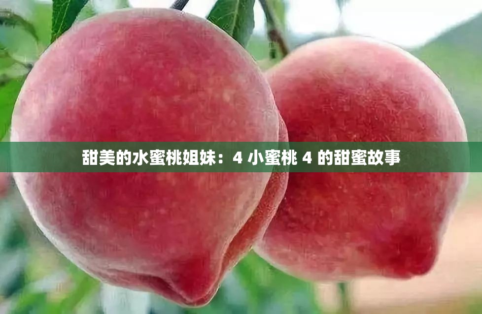 甜美的水蜜桃姐妹：4 小蜜桃 4 的甜蜜故事