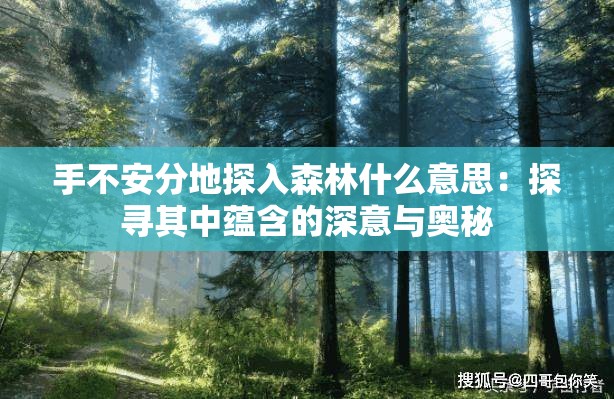 手不安分地探入森林什么意思：探寻其中蕴含的深意与奥秘