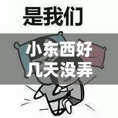 小东西好几天没弄了会坏吗：究竟能否保持完好