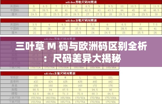 三叶草 M 码与欧洲码区别全析：尺码差异大揭秘