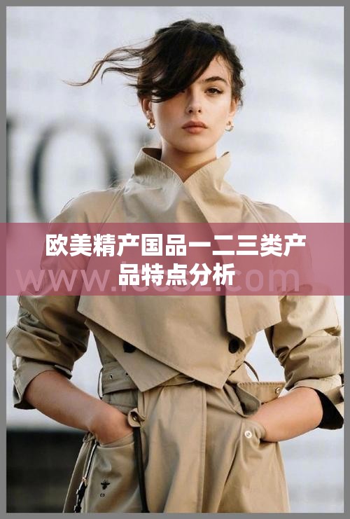 欧美精产国品一二三类产品特点分析