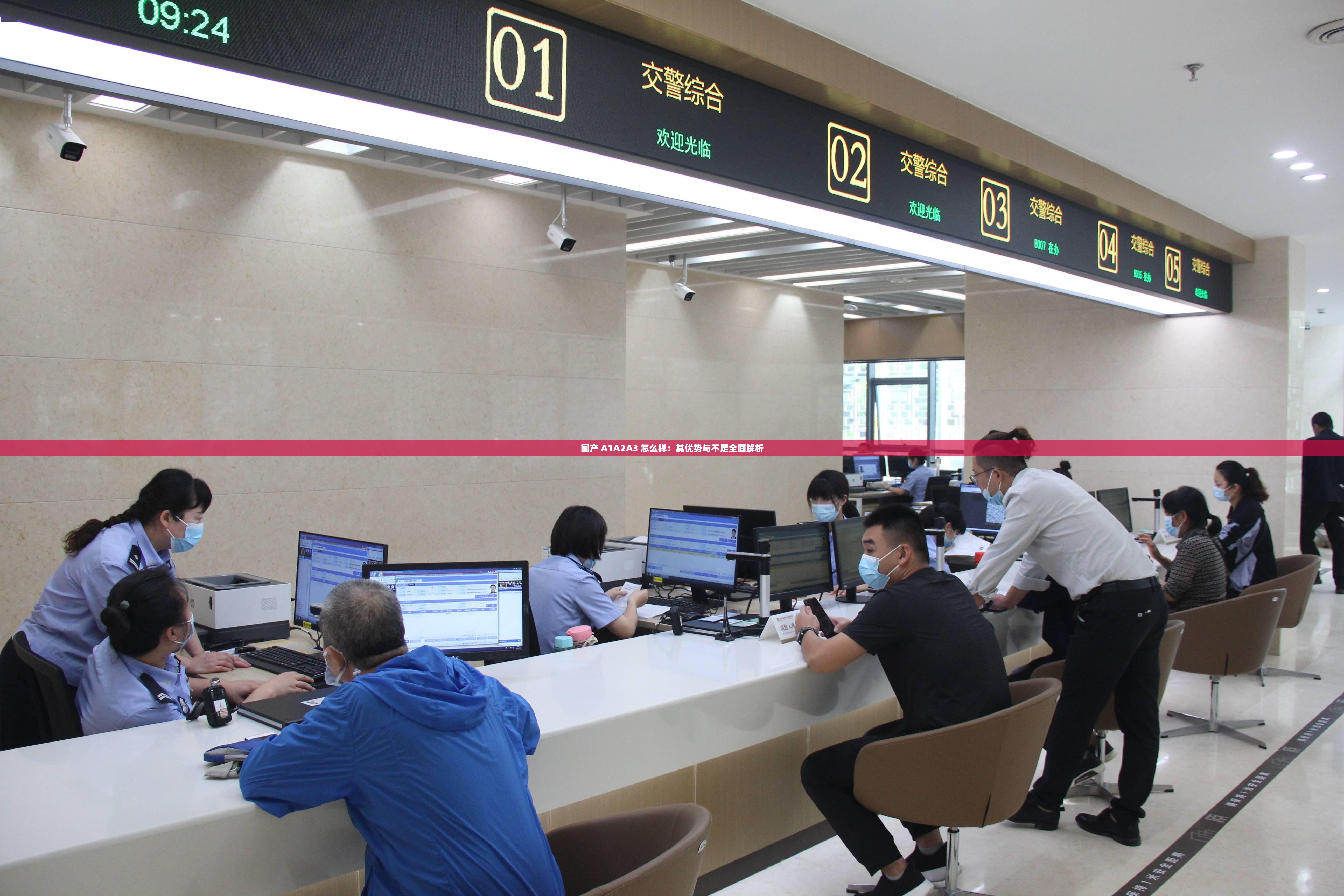 国产 A1A2A3 怎么样：其优势与不足全面解析