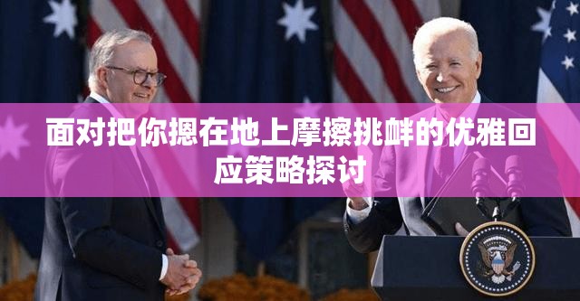面对把你摁在地上摩擦挑衅的优雅回应策略探讨