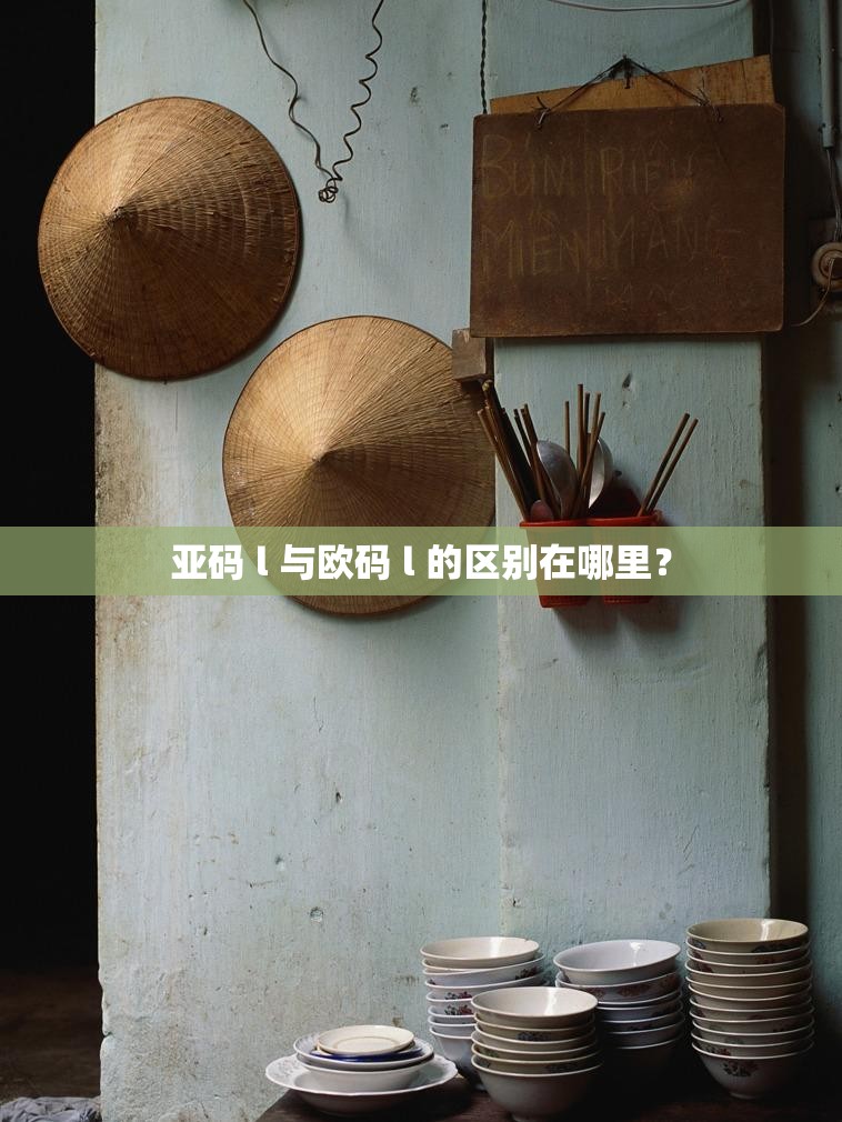 亚码 l 与欧码 l 的区别在哪里？
