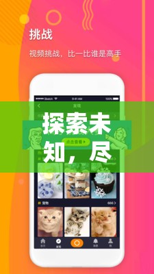 探索未知，尽在香蕉视频 APP：精彩不断，等你来发现