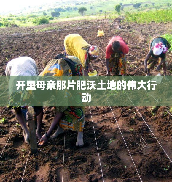 开垦母亲那片肥沃土地的伟大行动