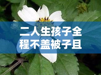二人生孩子全程不盖被子且出现异常黄色现象