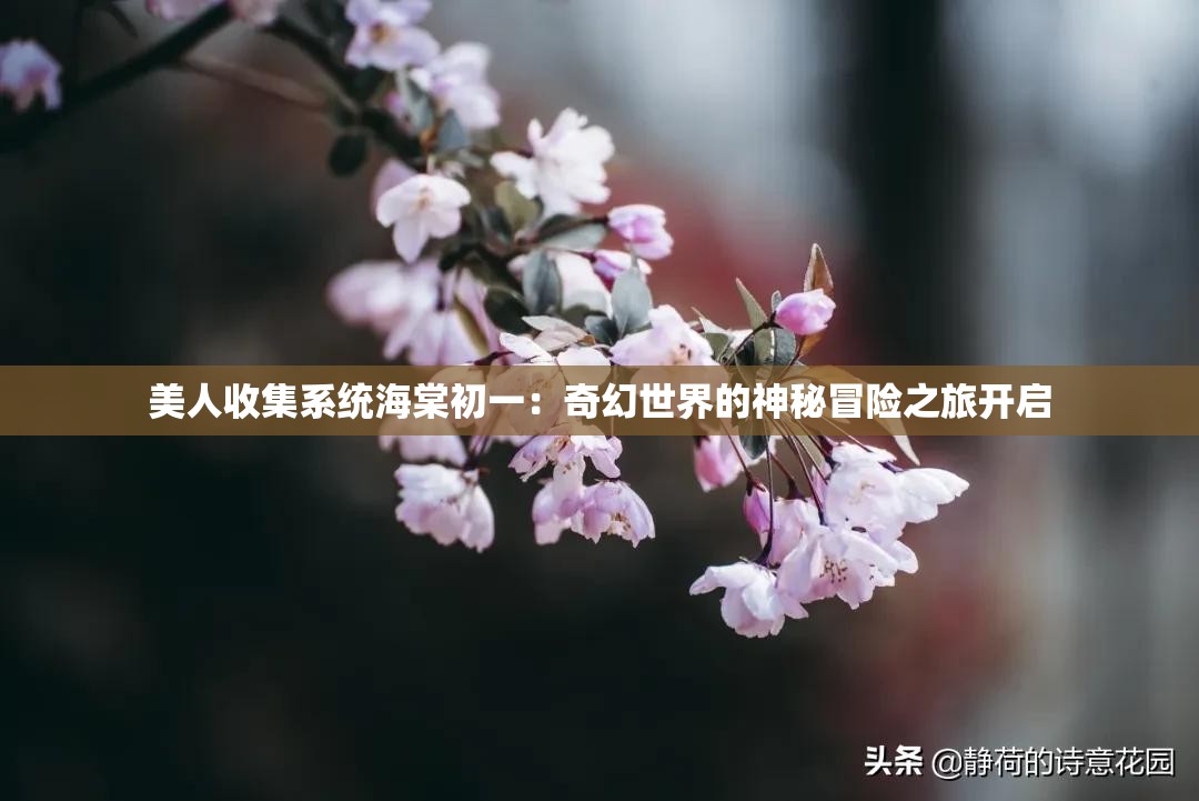 美人收集系统海棠初一：奇幻世界的神秘冒险之旅开启