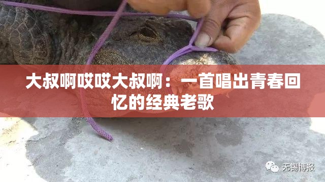 大叔啊哎哎大叔啊：一首唱出青春回忆的经典老歌