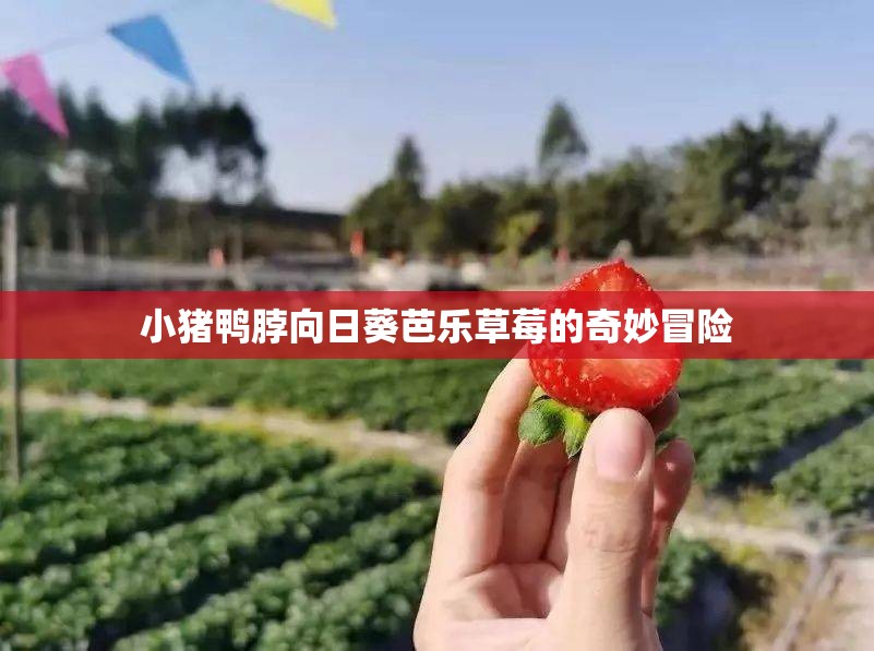 小猪鸭脖向日葵芭乐草莓的奇妙冒险