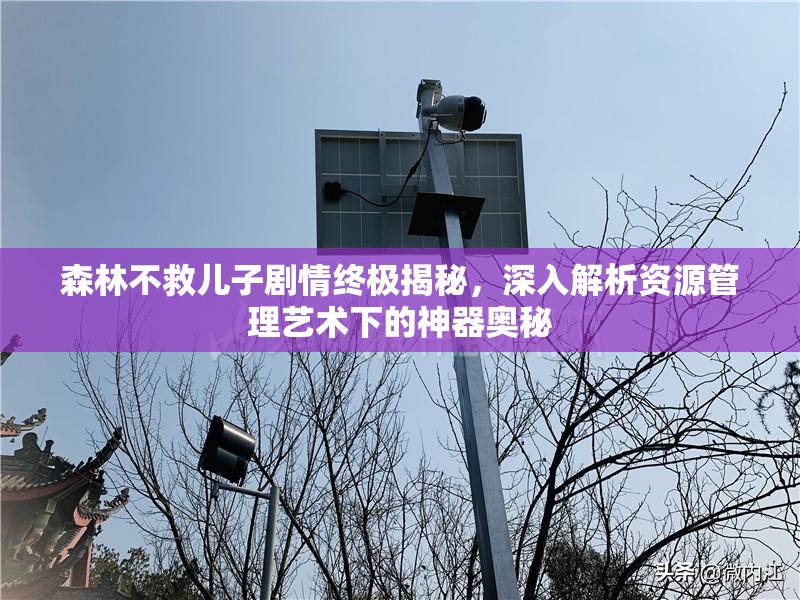 森林不救儿子剧情终极揭秘，深入解析资源管理艺术下的神器奥秘