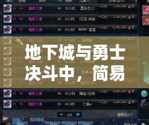 地下城与勇士决斗中，简易与标准指令差异及对游戏资源管理的关键影响