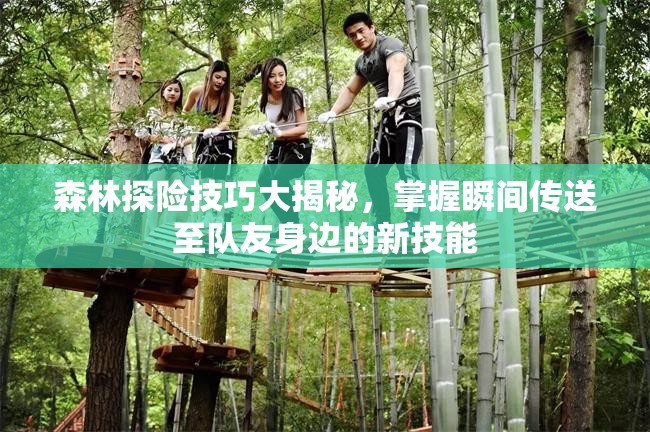 森林探险技巧大揭秘，掌握瞬间传送至队友身边的新技能