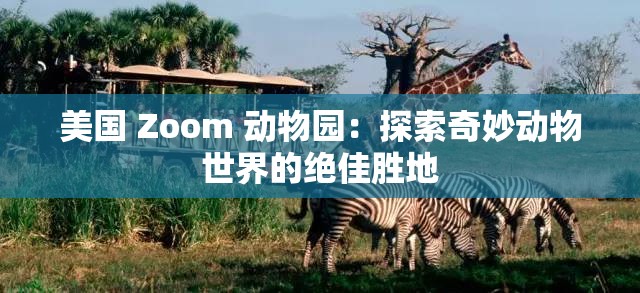 美国 Zoom 动物园：探索奇妙动物世界的绝佳胜地