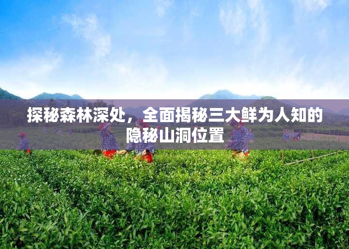 探秘森林深处，全面揭秘三大鲜为人知的隐秘山洞位置
