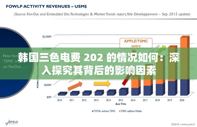 韩国三色电费 202 的情况如何：深入探究其背后的影响因素